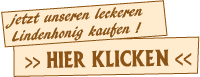 Leckeren Lindenhonig aus der Pfalz direkt beim Imker kaufen